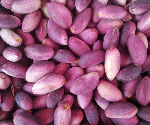Gaziantep Pistachio