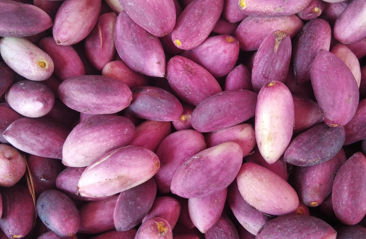 Gaziantep Pistachio
