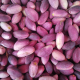 Gaziantep Pistachio